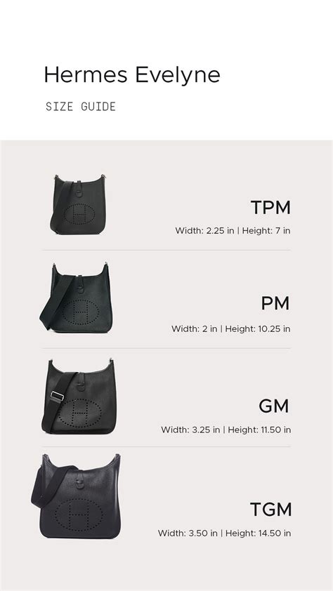 hermès evelyne sizes and prices 2023|hermes bag size chart.